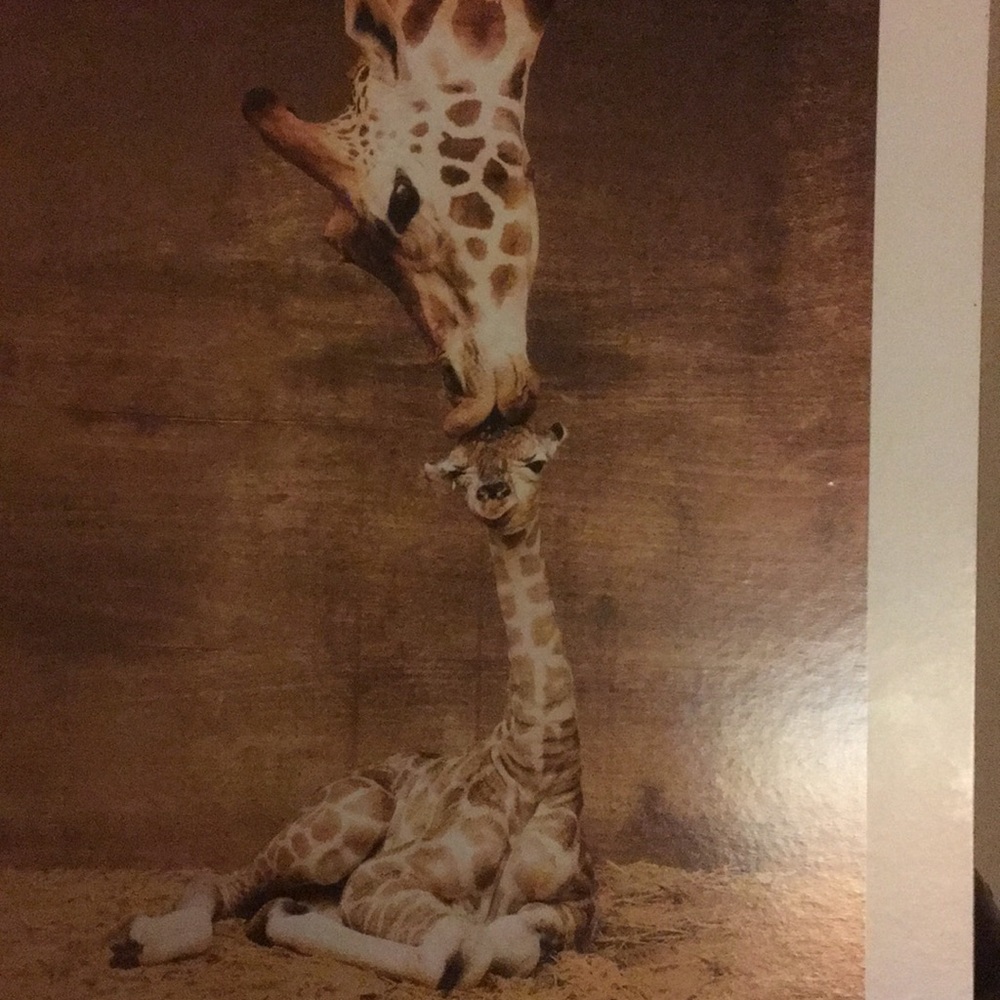 Meet your Posher, Mindy